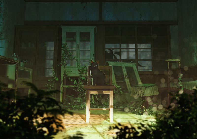 anime room, ruins, cat, scenic, neko, chair, Anime, HD wallpaper